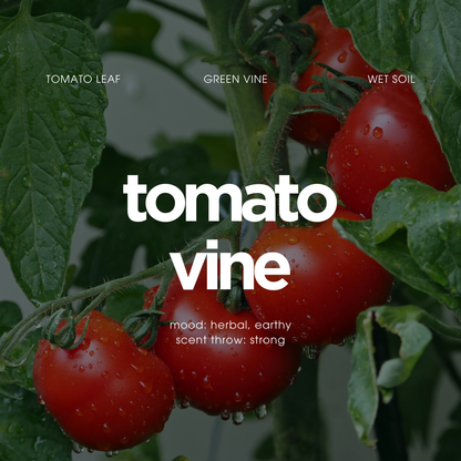 Tomato Vine Humidifier Oil